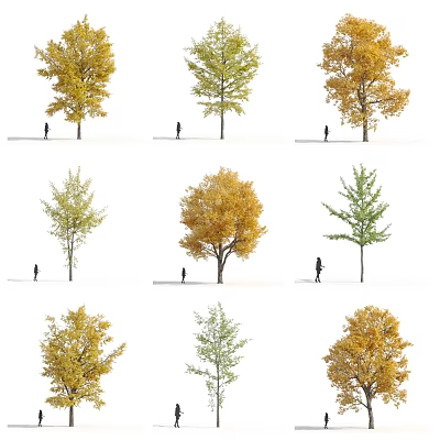 Arbor Collection With Green And Yellow Leaves Featuring Multiple Trees And Human Figures Below 3d model