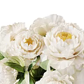 Decorative Ornament Set Featuring White Vases with Pink and White Peonies and Green Leaves