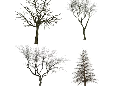 Four Bare Deciduous Trees With Varied Branch Shapes Isolated On White 3d model