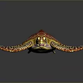 Vibrant Sea Turtle With Red Yellow Patterned Shell And Detailed Flippers On Dark Background 3d model