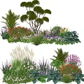 Vibrant Garden Plant Combinations Featuring Trees Shrubs Flowers And Green Foliage