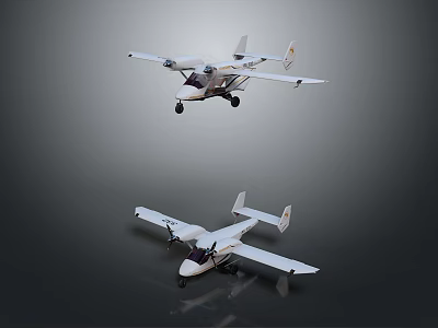 Two White Light Aircraft One Flying and One on Ground 3d model