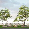 Modern landscape courtyard tree shape lemon tree orange tree landscape garden stone 3d model