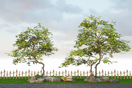 Modern landscape courtyard tree shape lemon tree orange tree landscape garden stone 3d model