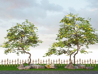 Modern landscape courtyard tree shape lemon tree orange tree landscape garden stone 3d model