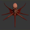 Vibrant Red Octopus Marine Animal With Detailed Tentacles And Eyes