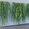 Natural Hanging Green Vines With Lush Leaves For Indoor Wall Decoration