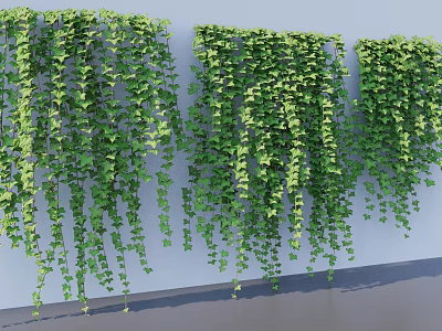 Natural Hanging Green Vines With Lush Leaves For Indoor Wall Decoration 3d model