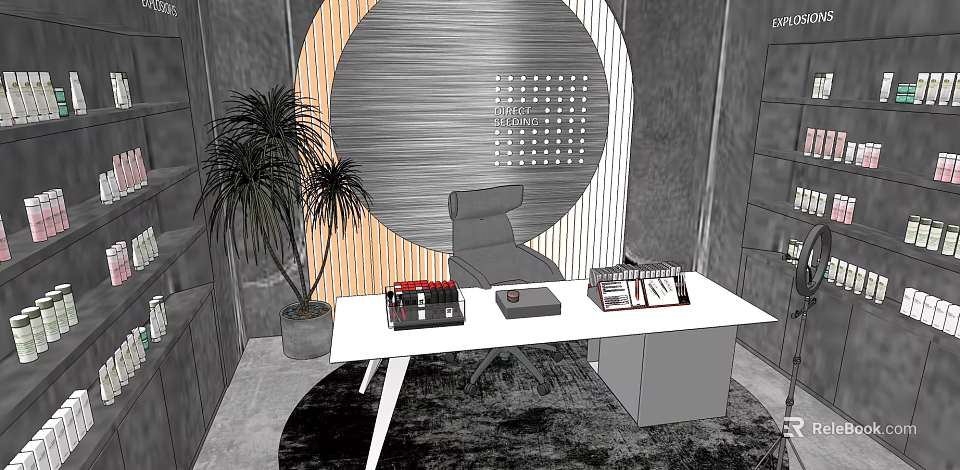 Modern Office Desk Setup With Palm Plant Circular Wooden Wall And Office Chair 3d model 