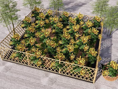 Abundant Yellow Flowers In Garden Bed With Bamboo Fence And Neat Layout 3d model
