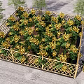 Abundant Yellow Flowers In Garden Bed With Bamboo Fence And Neat Layout