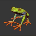 Frog Frog Frog Poison Frog Game Frog Reptile Cold Blooded Animal Reptile Reptile 3d model