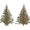 Two Evergreen Arbor Trees One Decorated With Red Ornaments And Pinecones