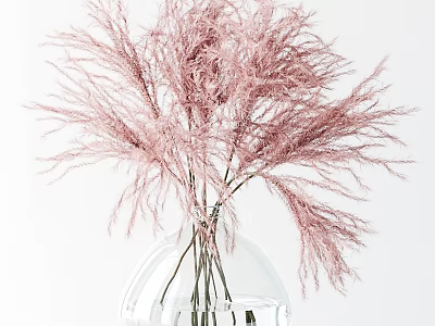 Pink Pampas Grass Arrangement in Transparent Glass Vase on White Background 3d model