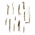 Dried Arbor Branches Scattered on White Background with Natural Rough Texture 3d model