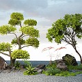 landscape arbor modeling tree stone micro terrain 3d model