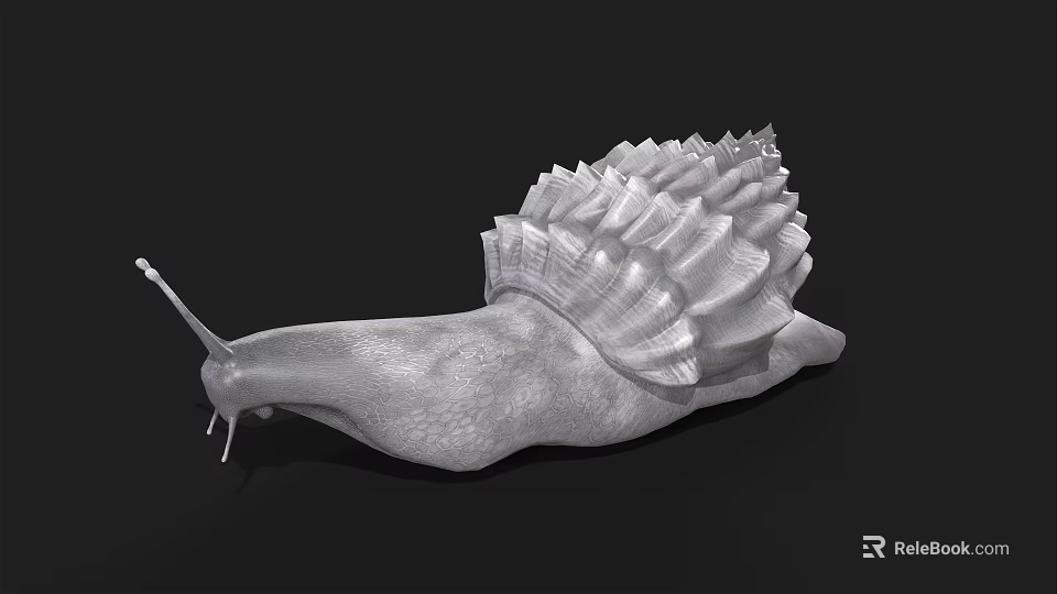 Detailed Reptile Snail With Spiral Textured Shell And Long Tentacles On Black Background 3d model 