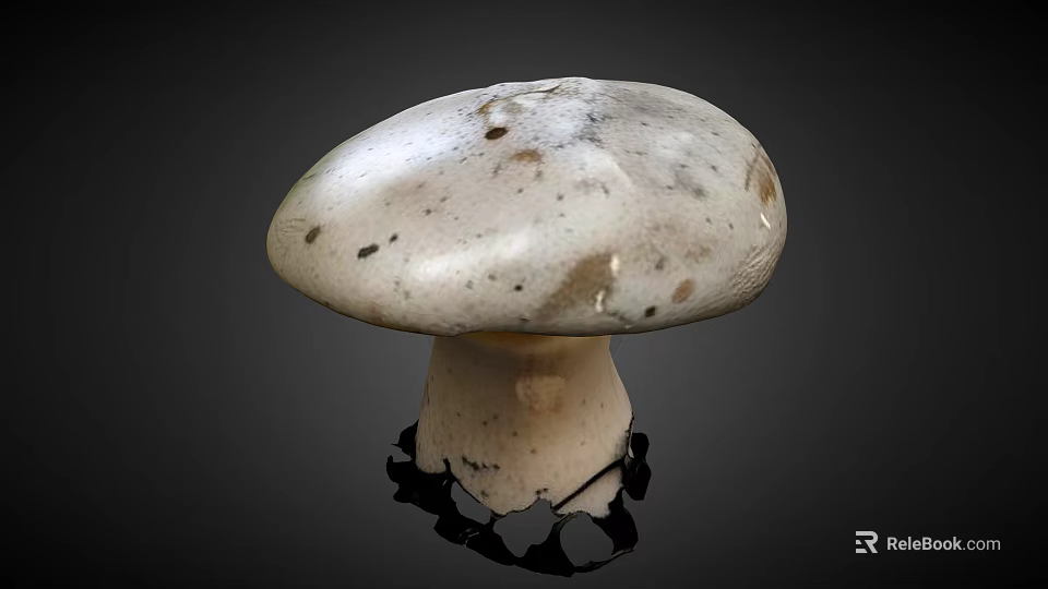 White Mushroom With Brown Spotted Cap And Stem On Black Stand Dark Background 3d model 