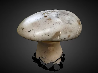 White Mushroom With Brown Spotted Cap And Stem On Black Stand Dark Background 3d model