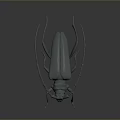 3D Rendered Beetle With Long Antennae Multiple Legs And Gray Tone On Dark Background