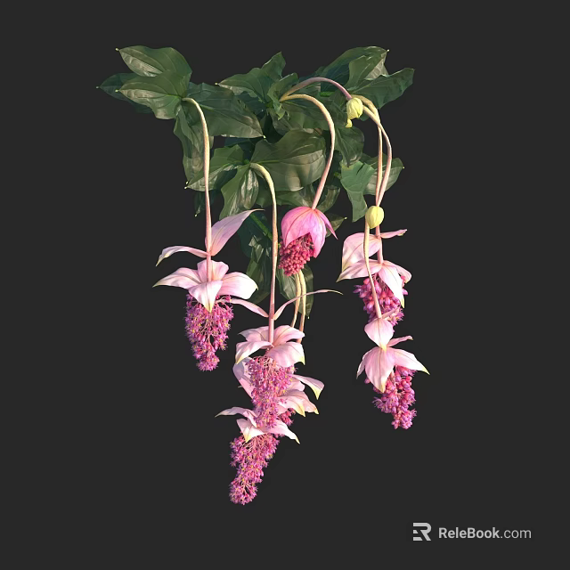 Pink Hanging Flowers And Green Plants With Delicate Petals And Soft Leaves For Decor 3d model 