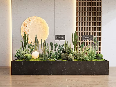 Cactus Succulent Bonsai Arrangement in Black Rectangular Planter with Circular Moon Decor and Grid Wall 3d model