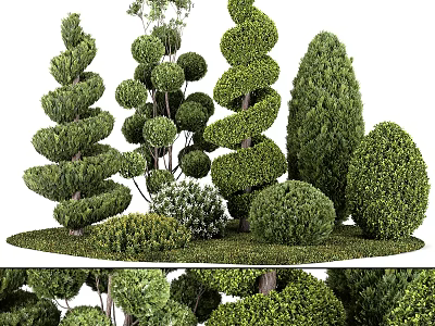 Trimmed Evergreen Garden Shrubs With Various Shapes For Outdoor Landscape Design And Decoration 3d model