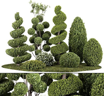 Trimmed Evergreen Garden Shrubs With Various Shapes For Outdoor Landscape Design And Decoration 3d model