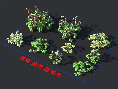 Detailed 3D Models of Strawberry and Various Fruit Vegetable Plants Collection 3d model