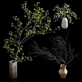 Various Decorative Vases With Green Leaf Branches Bamboo Leaves And Bare Twigs 3d model