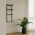 Wall Mounted Glass Shelving Unit With Black Metal Frame And Green Plant In Room Corner