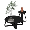 Black Coffee Table With Magazine And Small Potted Plant Plus Side Table Holding Orange Figurine