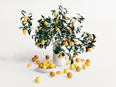 Modern Fruit Tree Potted Plant Flower Pot Vase Baian Orange Tree Lemon Tree Green Planting model