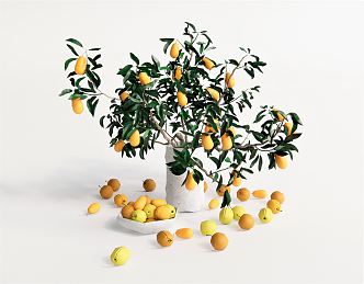 Modern Fruit Tree Potted Plant Flower Pot Vase Baian Orange Tree Lemon Tree Green Planting 3d model