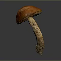 Single Orange Mushroom With Textured Cap And Root Like Stem On Gray Background
