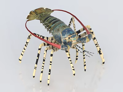 Blue Green Lobster With Red Antennae And Black White Striped Legs 3d model