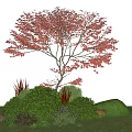 Red Leaf Tree With Green Shrubs And Lush Grass In Garden Landscape