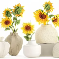 Potted Sunflower Plants In Various Ceramic Vases For Home Decoration