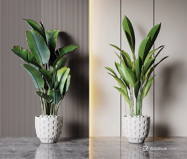 Large Potted Plants In White Perforated Pots On Marble Floor With Striped Wall And Gold Accent 3d model 
