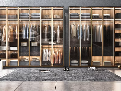 Modern Wardrobe With Glass Doors Golden Frames Organized Clothing And Shoes On Rug 3d model