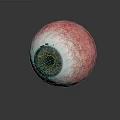 Eyeball with Pink Sclera Blood Vessels Yellow Iris Black Pupil on Gray Background and Reflection
