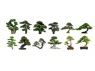 Various Stylish Bonsai Trees With Different Shapes And Decorative Designs 3d model