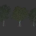 Three Trees With Support Structures On Green Grass Under Blue Sky 3d model