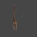 3D Rendered Brachiosaurus Dinosaur with Long Neck on Orange Background and Flying Birds
