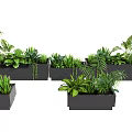 Decorative Potted Plants With Various Greenery In Black Rectangular Planters 3d model