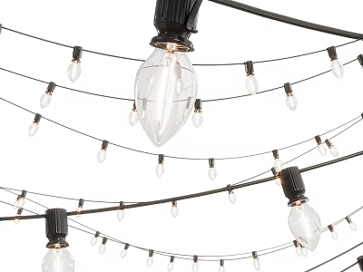 Decorative Hanging String Lights With Black Wires And Transparent Bulbs Outdoor 3d model