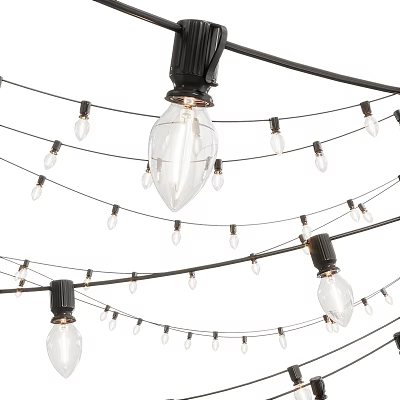 Decorative Hanging String Lights With Black Wires And Transparent Bulbs Outdoor 3d model