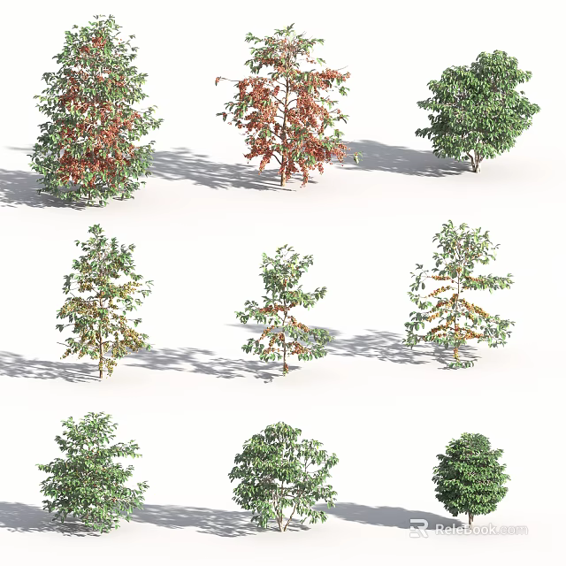 Different Arbor Tree Varieties Showing Various Foliage Colors And Shapes 3d model