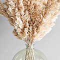 Garden Decor Accents Dried Pampas Grass Bouquet In Clear Glass Vase With Natural Arrangement