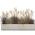 Decorative Bonsai Potted Plant With Various Dried Grasses In Rectangular Concrete Planter 3d model